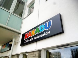 Kaseton z Dibondu Kakadu